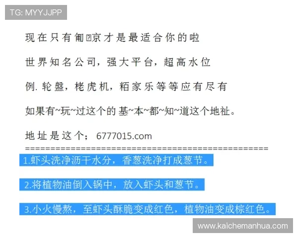 深入了解K发娱乐K8的安全保障措施确保玩家账号信息安全无忧